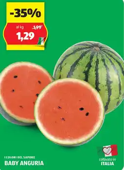 ALDI I colori del sapore baby anguria offerta