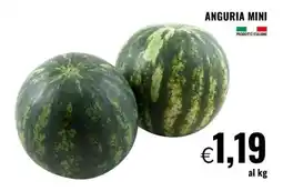 Famila ANGURIA MINI offerta