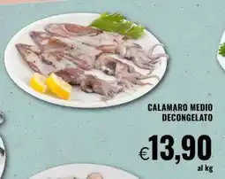 Famila CALAMARO MEDIO DECONGELATO offerta