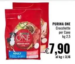 Famila PURINA ONE Crocchette per Cane offerta