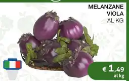 Coop Melanzane Viola offerta