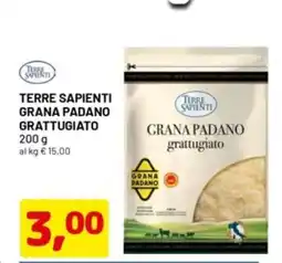 DPiù Terre sapienti grana padano grattugiato offerta