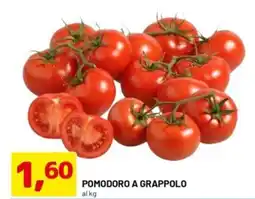DPiù Pomodoro a Grappolo offerta