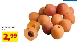 DPiù Albicocche offerta
