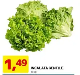DPiù Insalata gentile offerta