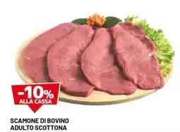 DPiù Scamone di bovino adulto scottona offerta