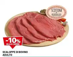 DPiù Scaloppe di bovino adulto offerta
