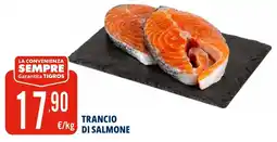 Tigros Trancio di salmone offerta