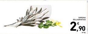 Spazio Conad Sardina dell'adriatico offerta