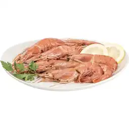 Coop GAMBERO ARGENTINO offerta