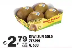 A&O Kiwi sun gold zespri offerta