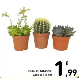 Spazio Conad Piante grasse vaso ø offerta