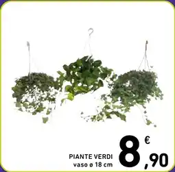 Spazio Conad Piante verdi vaso offerta