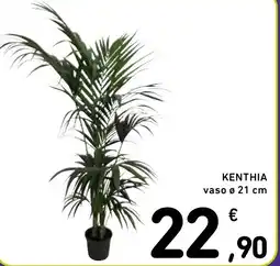 Spazio Conad Kenthia vaso Ø offerta