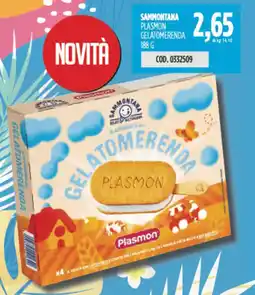 Carico Cash & Carry Sammontana plasmon gelatomerenda offerta