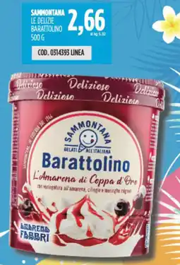 Carico Cash & Carry Sammontana le delizie barattolino offerta