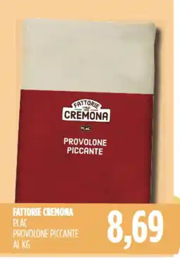 Carico Cash & Carry Fattorie cremona plac provolone piccante offerta