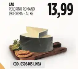 Carico Cash & Carry Cao pecorino romano 1/8 forma offerta