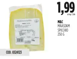 Carico Cash & Carry M&c maasdam spicchio offerta