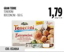 Carico Cash & Carry Gran terre teneroni bocconcini offerta