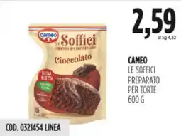 Carico Cash & Carry Cameo le soffici preparato per torte offerta