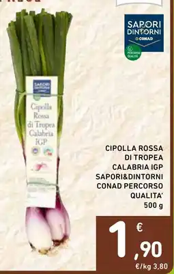 Spazio Conad Cipolla rossa di tropea calabria igp sapori&dintorni conad percorso qualita' offerta