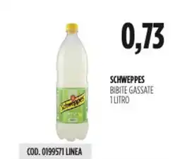 Carico Cash & Carry Schweppes bibite gassate offerta
