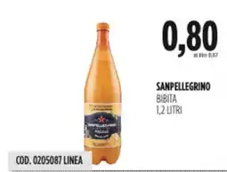 Carico Cash & Carry Sanpellegrino bibita offerta