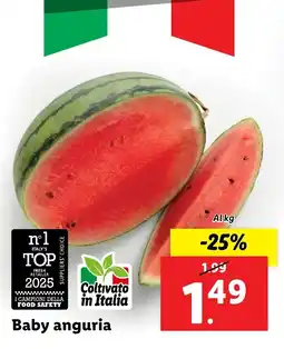 Lidl Baby anguria offerta