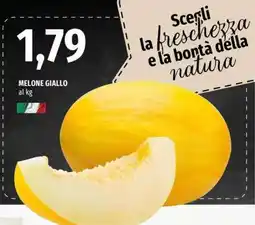 Famila Melone Giallo offerta