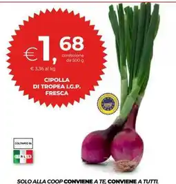 Coop Cipolla di Tropea I.G.P. fresca offerta
