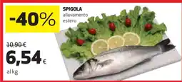 Coop Spigola offerta