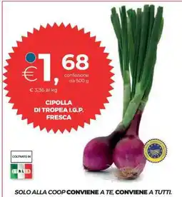 Coop Cipolla di Tropea I.G.P. fresca offerta