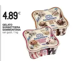 Coop GELATO SORBETTIERA SAMMONTANA offerta