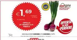 Cipolla di Tropea I.G.P. fresca