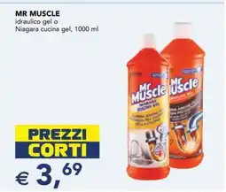 Esselunga MR MUSCLE offerta