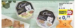 Esselunga Vaschetta per Cani Cesar offerta