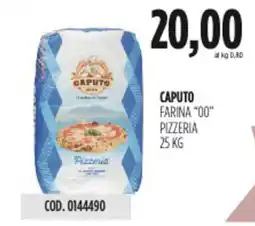 Carico Cash & Carry Caputo farina "00" pizzeria offerta