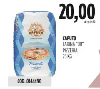 Carico Cash & Carry Caputo farina "00" pizzeria offerta