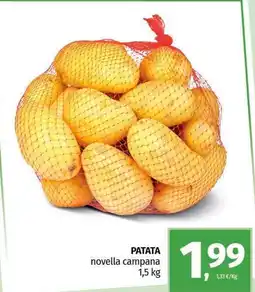 Pam PATATA novella campana offerta