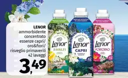 Pam LENOR ammorbidente concentrato essenze capri offerta