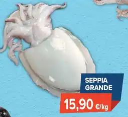 Sapore di Mare Seppia grande offerta
