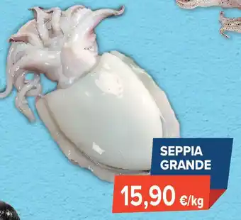 Sapore di Mare Seppia grande offerta
