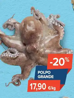 Sapore di Mare Polpo grande offerta