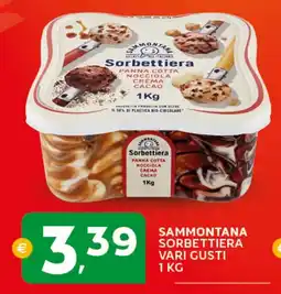 Extra Supermercati Sammontana sorbettiera vari gusti offerta