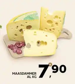 Maasdammer
