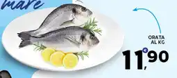 Extra Supermercati Orata offerta