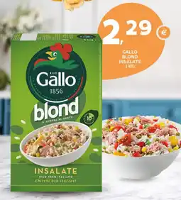 Gallo blond insalate