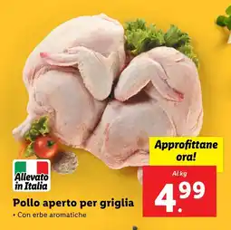 Lidl Pollo aperto per griglia offerta