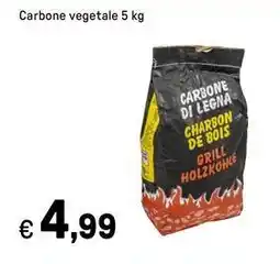 Iper La Grande Carbone vegetale offerta